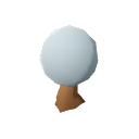 Avocado_Tree_Stage_1