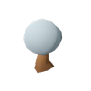 Avocado_Tree_Stage_2