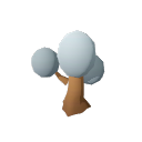 Avocado_Tree_Stage_3