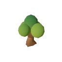 Avocado_Tree_Stage_5_Summer