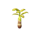 Banana_Tree_Stage_5_Fall