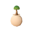 Cherry_Tree_Sappling