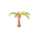 Coconut_Palm_Stage_1