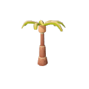 Coconut_Palm_Stage_2