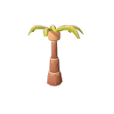 Coconut_Palm_Stage_3