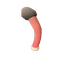 Dog_stinkhorn