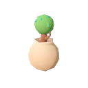 Durian_Tree_Sappling