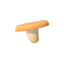 Lactarius_Tormisus