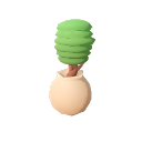 Mango_Tree_Sappling_005