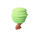 Mango_Tree_Stage_5_Summer