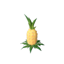 Pineapple_Stage_5